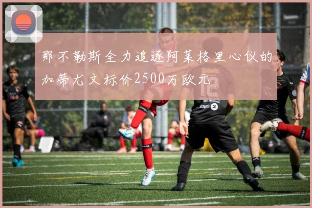 那不勒斯全力追逐阿莱格里心仪的加蒂尤文标价2500万欧元