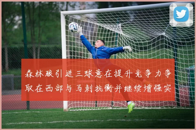森林狼引进三球意在提升竞争力争取在西部与马刺抗衡并继续增强实力