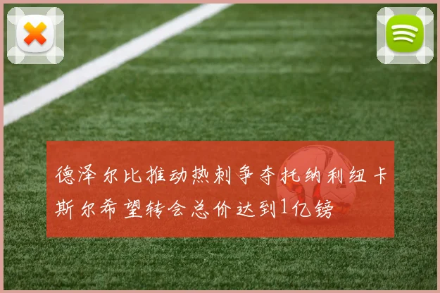 德泽尔比推动热刺争夺托纳利纽卡斯尔希望转会总价达到1亿镑